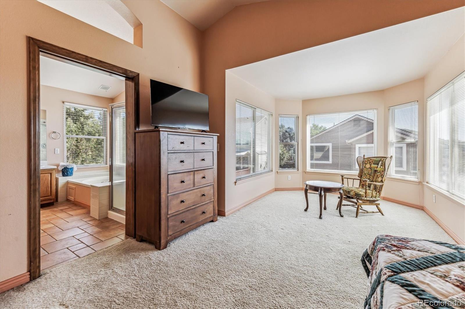 MLS Image #20 for 2024  sandhurst drive,castle rock, Colorado