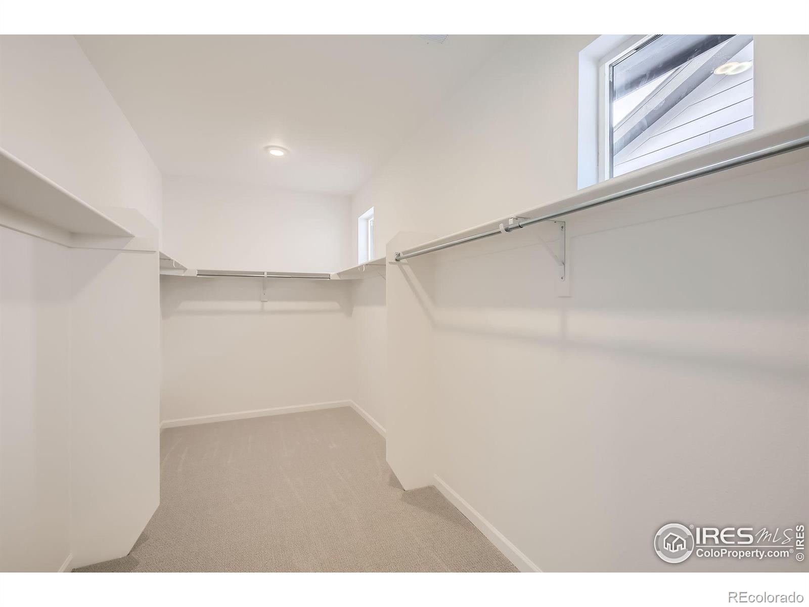 MLS Image #17 for 4439  hickory hill street,timnath, Colorado