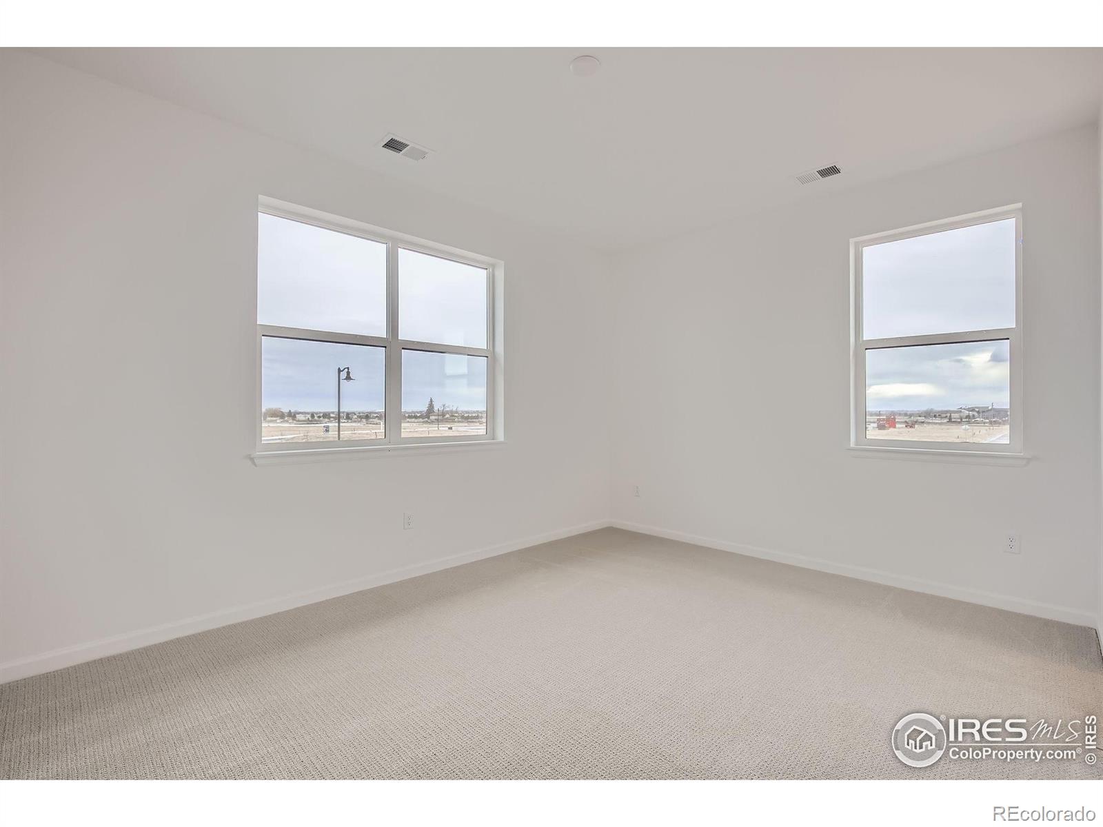 MLS Image #18 for 4439  hickory hill street,timnath, Colorado