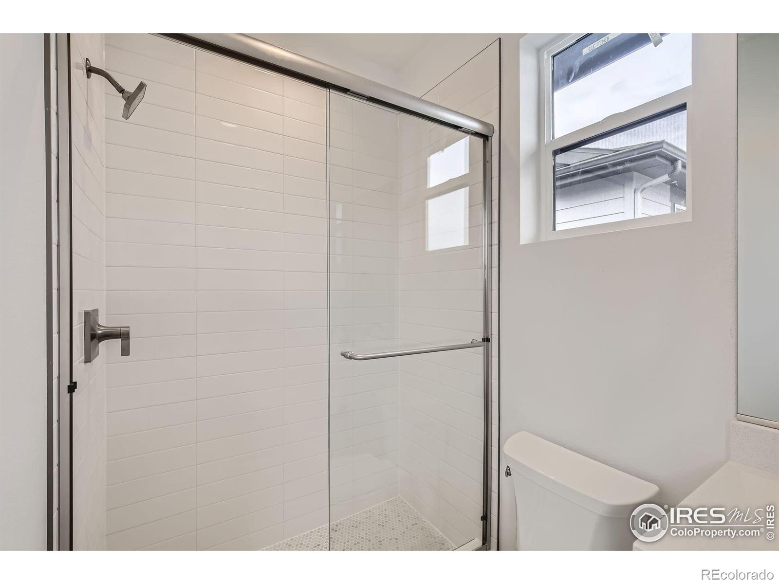 MLS Image #21 for 4439  hickory hill street,timnath, Colorado