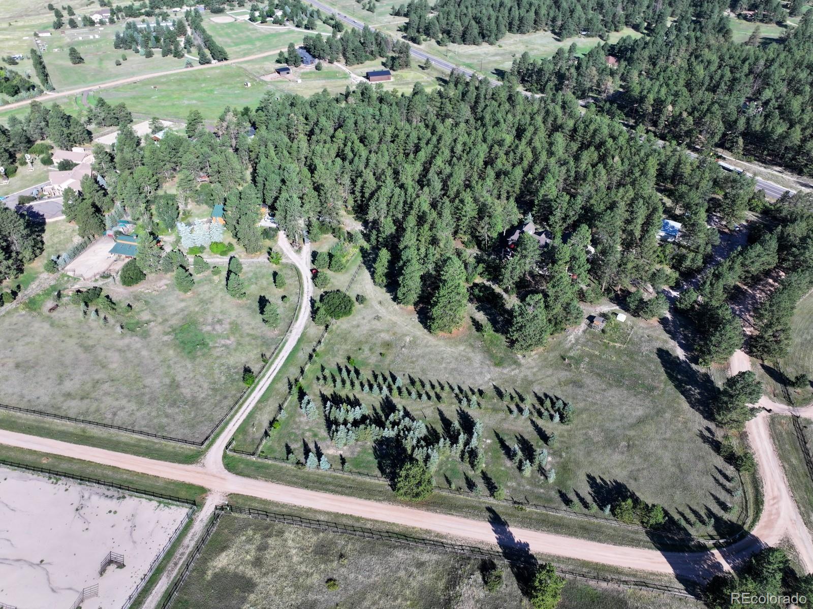 MLS Image #46 for 9340  comanche pines drive,franktown, Colorado