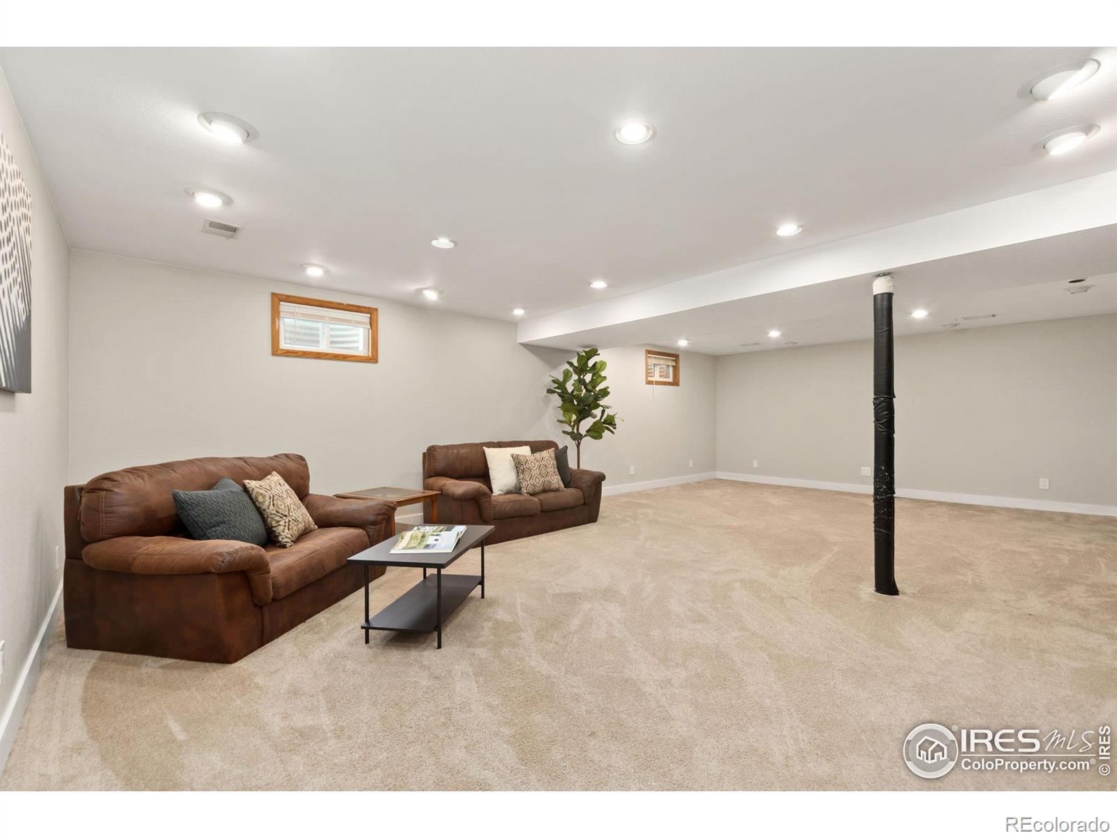 MLS Image #18 for 3802  dall place,fort collins, Colorado