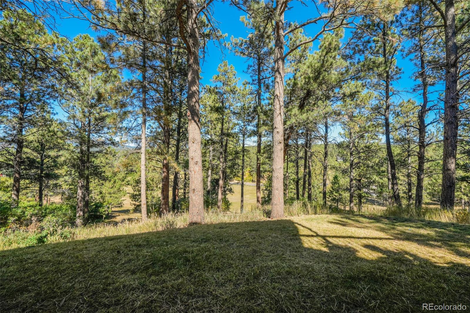 MLS Image #44 for 1306  meadowlake way,monument, Colorado