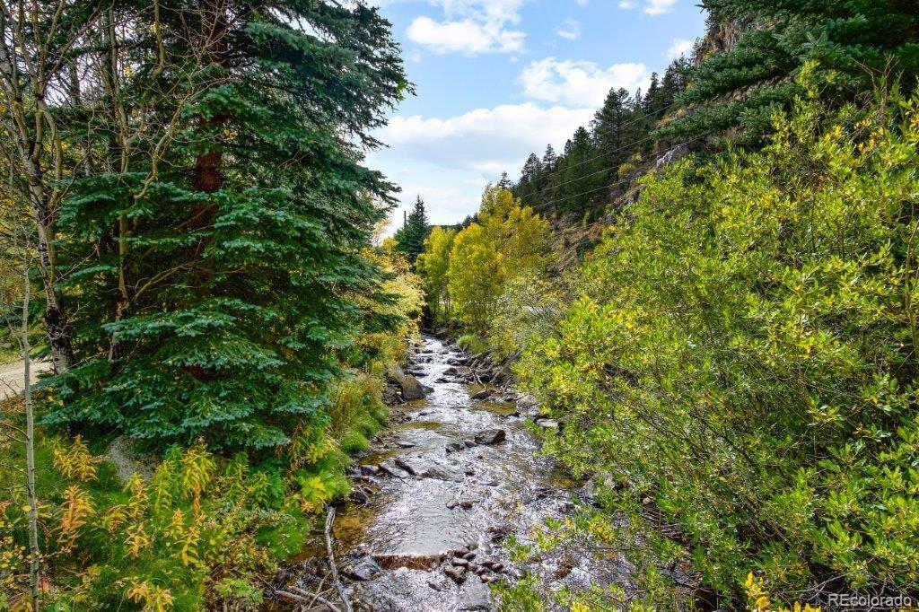 MLS Image #16 for 5721  chicago creek road,idaho springs, Colorado