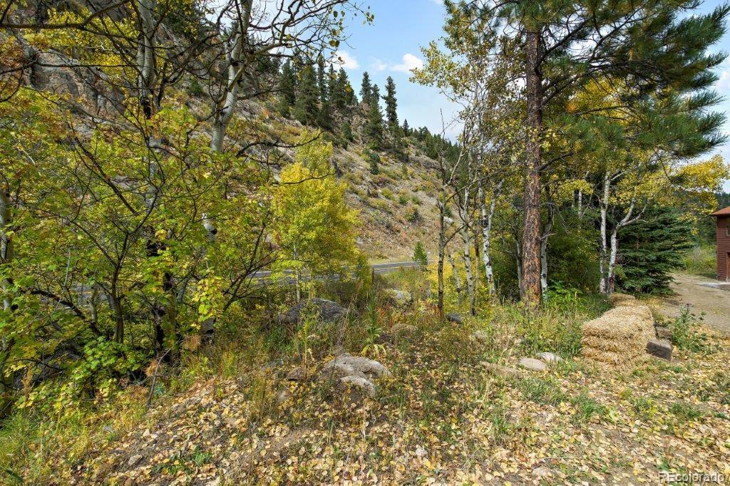 MLS Image #17 for 5721  chicago creek road,idaho springs, Colorado