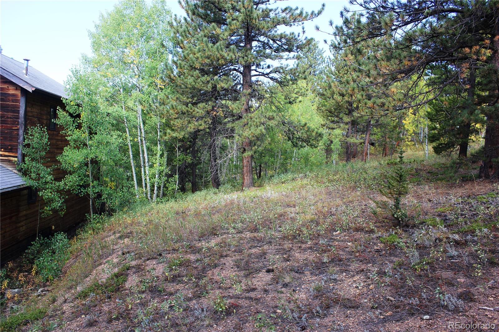 MLS Image #4 for 249  patricia road,rollinsville, Colorado