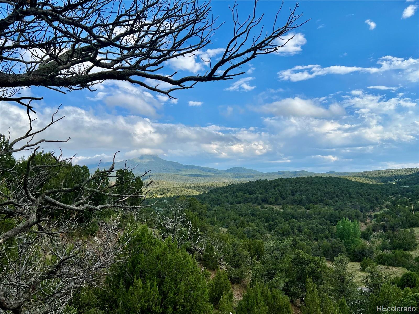 MLS Image #42 for 217  corundum road,trinidad, Colorado