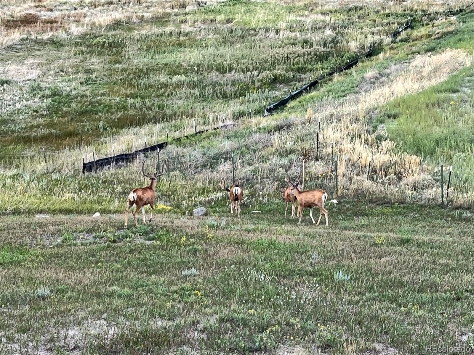 MLS Image #41 for 16115  gold creek drive,monument, Colorado