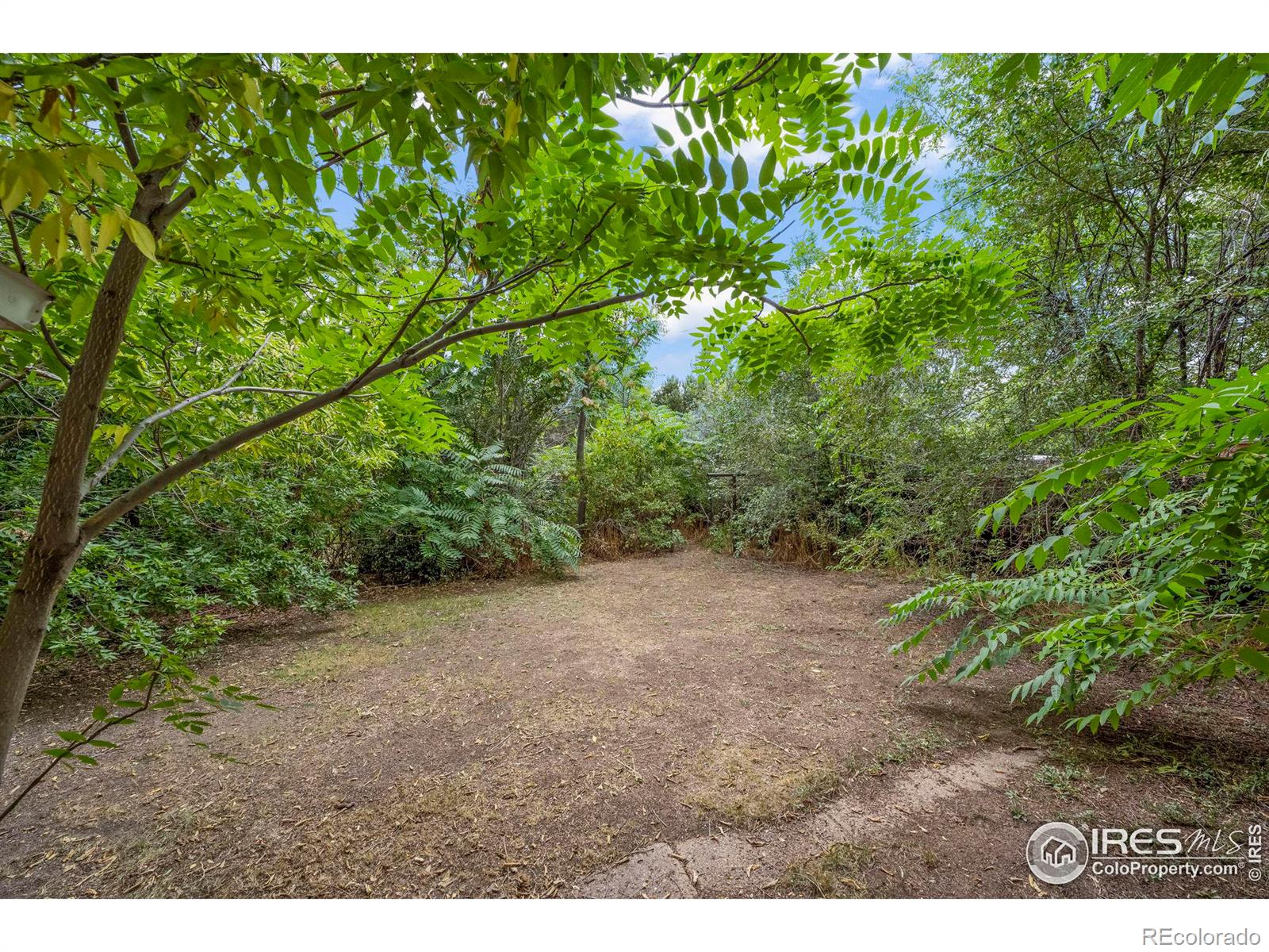 MLS Image #19 for 3109  fenton street,wheat ridge, Colorado