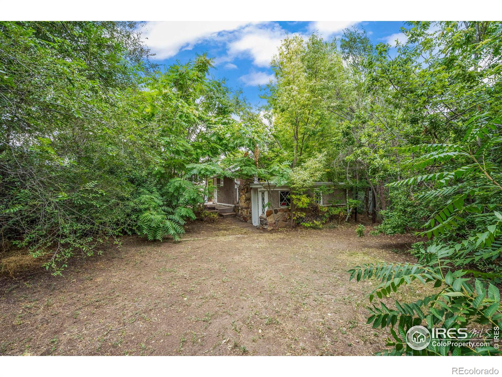 MLS Image #22 for 3109  fenton street,wheat ridge, Colorado