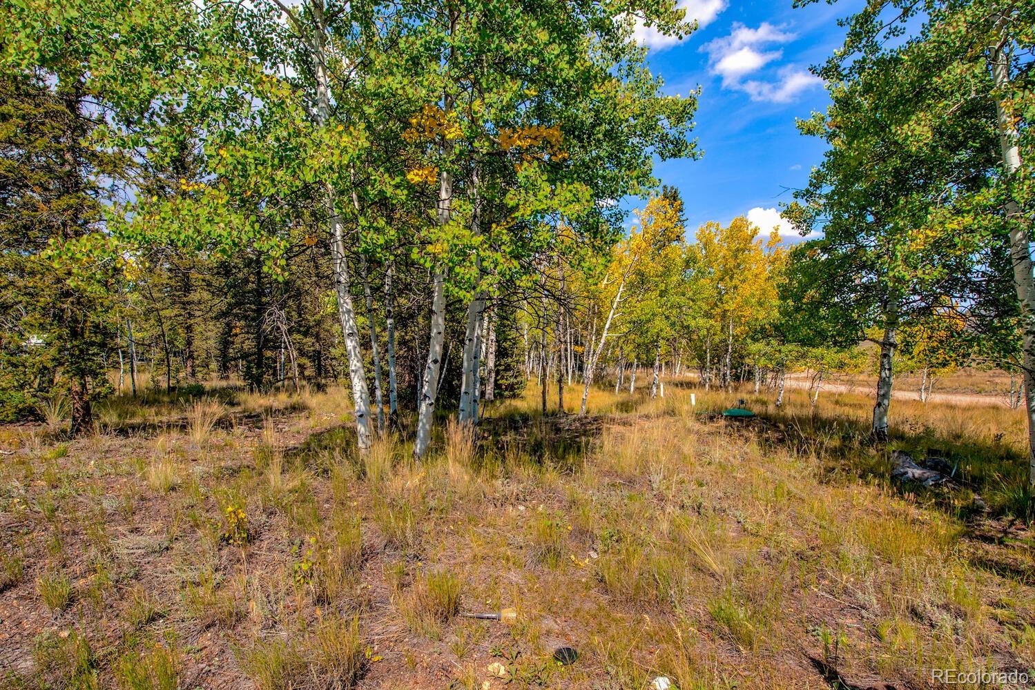 MLS Image #35 for 1202  haida road,como, Colorado