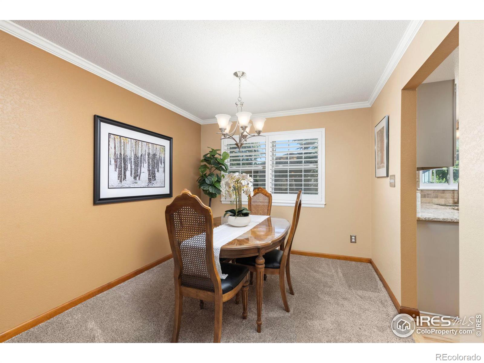 MLS Image #10 for 3907 w 22nd street,greeley, Colorado