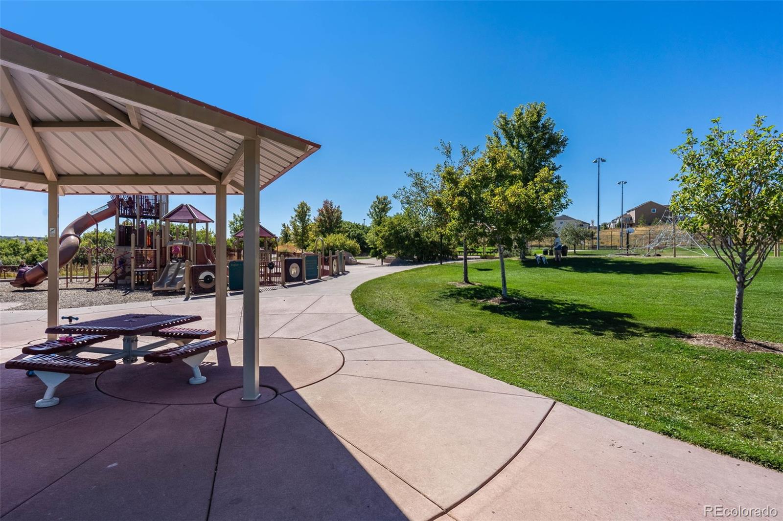 MLS Image #25 for 5138  blue lunar lane,castle rock, Colorado