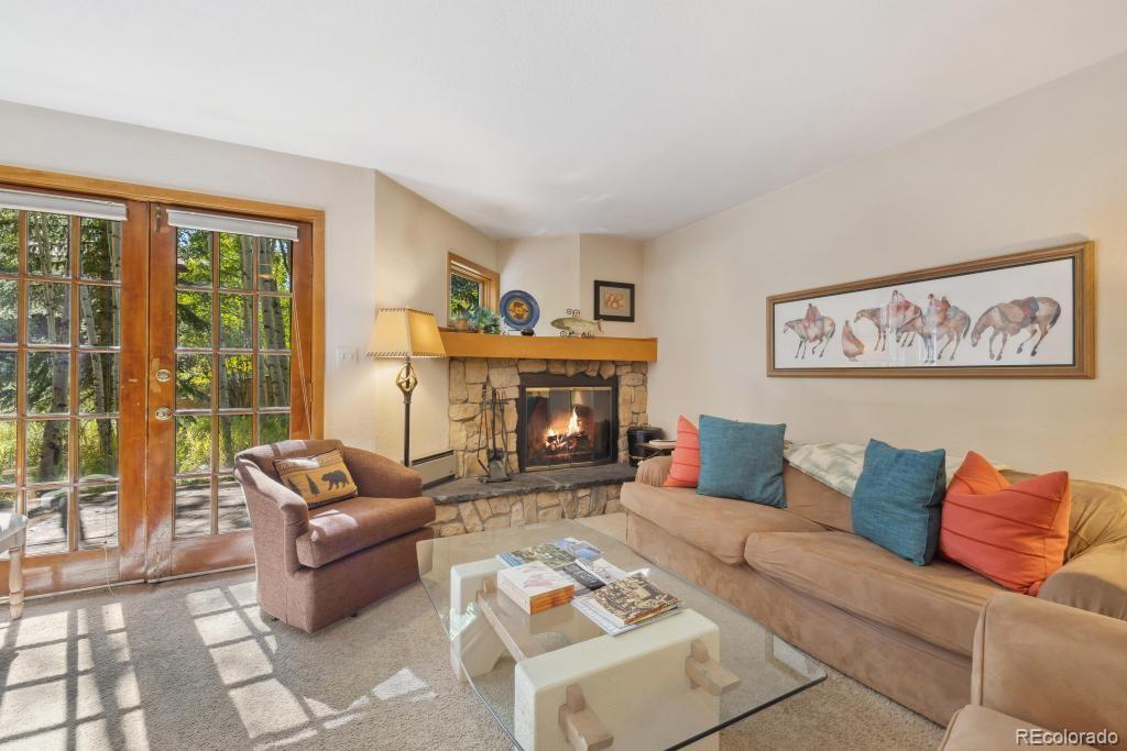 Report Image for 157  Alpine Drive,Frisco, Colorado
