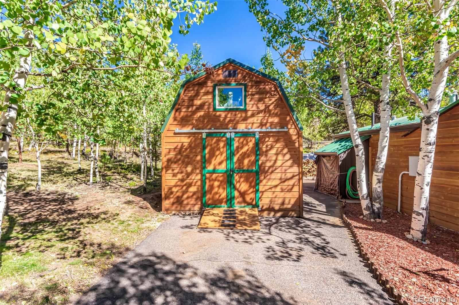 MLS Image #10 for 141  schooley road,bailey, Colorado