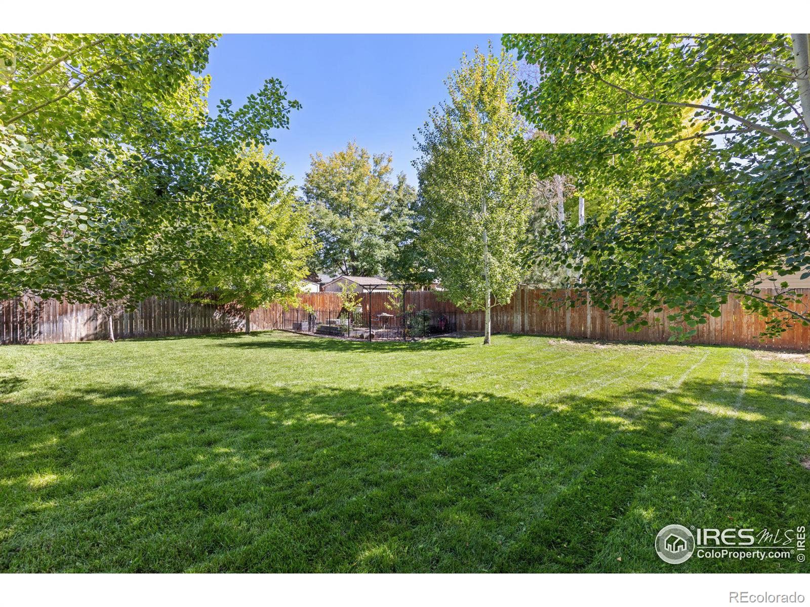 MLS Image #21 for 311  12th street,windsor, Colorado