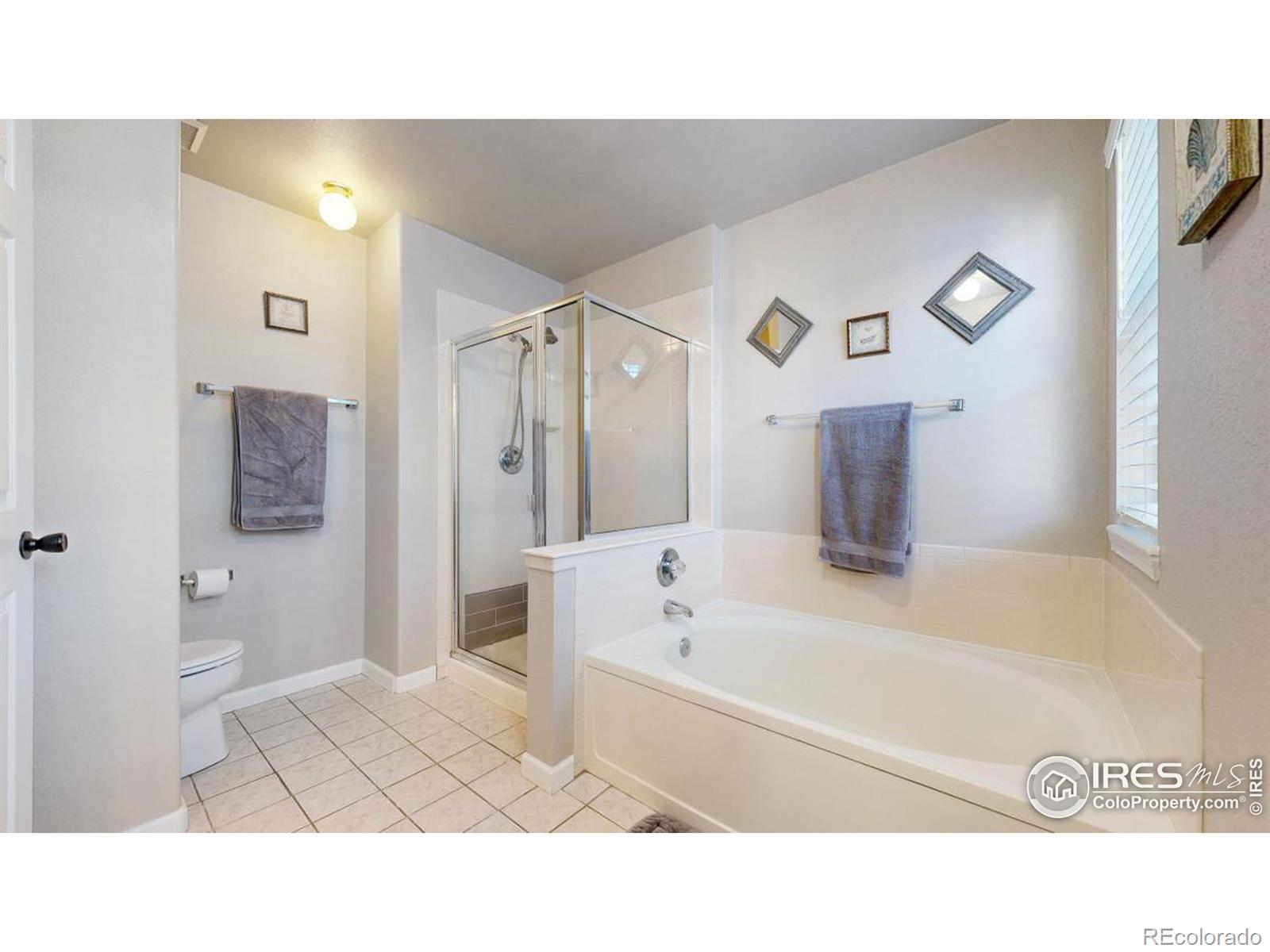 MLS Image #20 for 487  mesa drive,loveland, Colorado