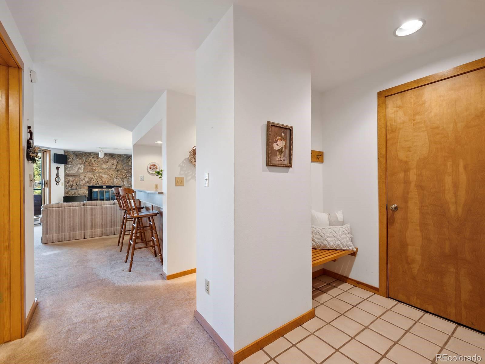 MLS Image #14 for 180 e la bonte street,dillon, Colorado