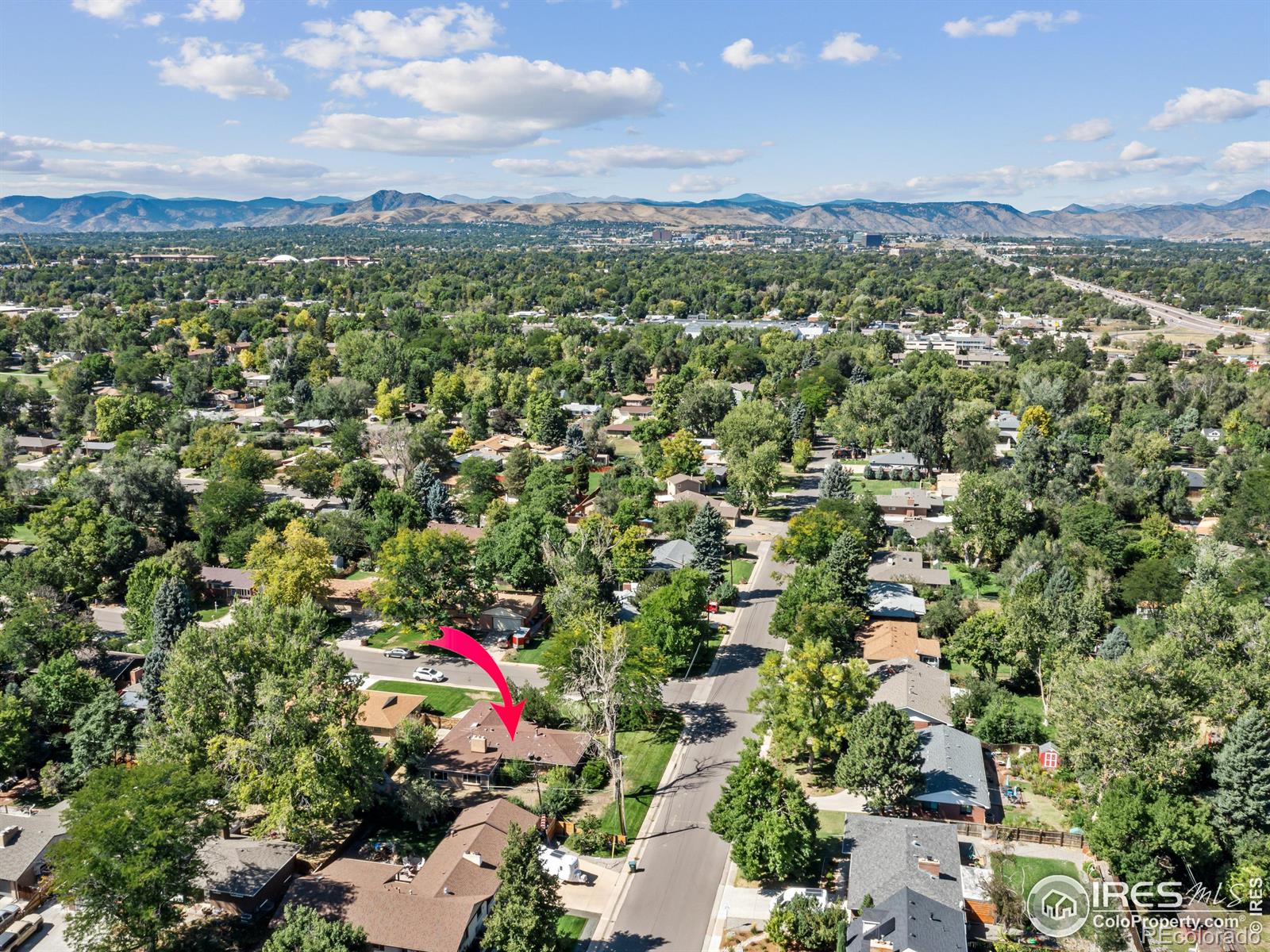 MLS Image #4 for 328  quay street,lakewood, Colorado