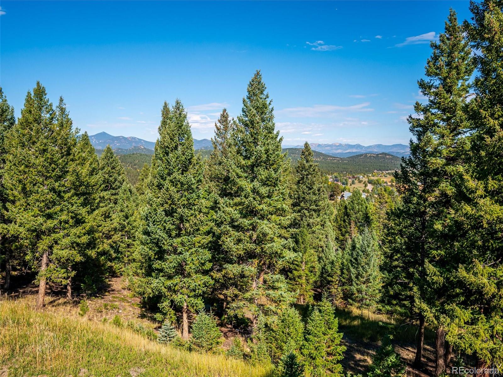 MLS Image #38 for 26886  evergreen springs road,evergreen, Colorado