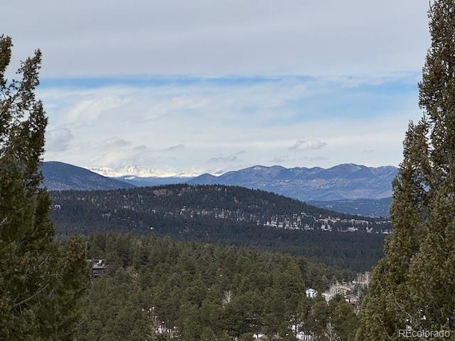 MLS Image #41 for 26886  evergreen springs road,evergreen, Colorado