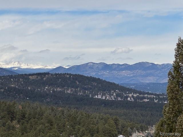 MLS Image #42 for 26886  evergreen springs road,evergreen, Colorado