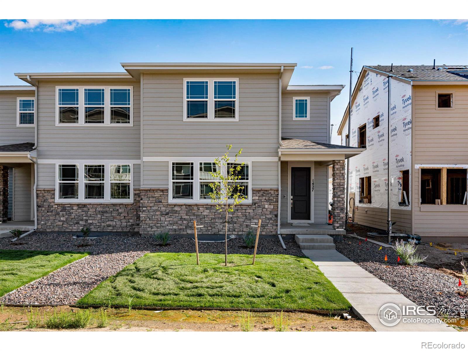 MLS Image #3 for 1427  great western drive,longmont, Colorado