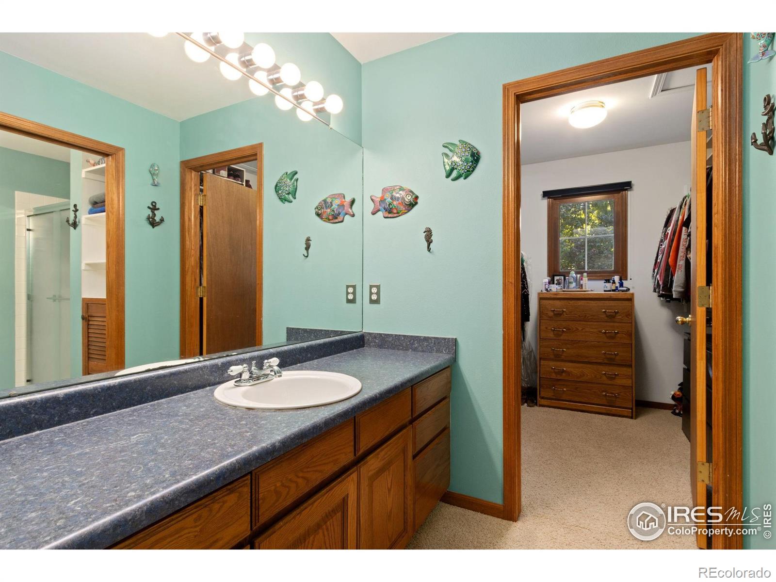 MLS Image #15 for 1412  ptarmigan court,fort collins, Colorado