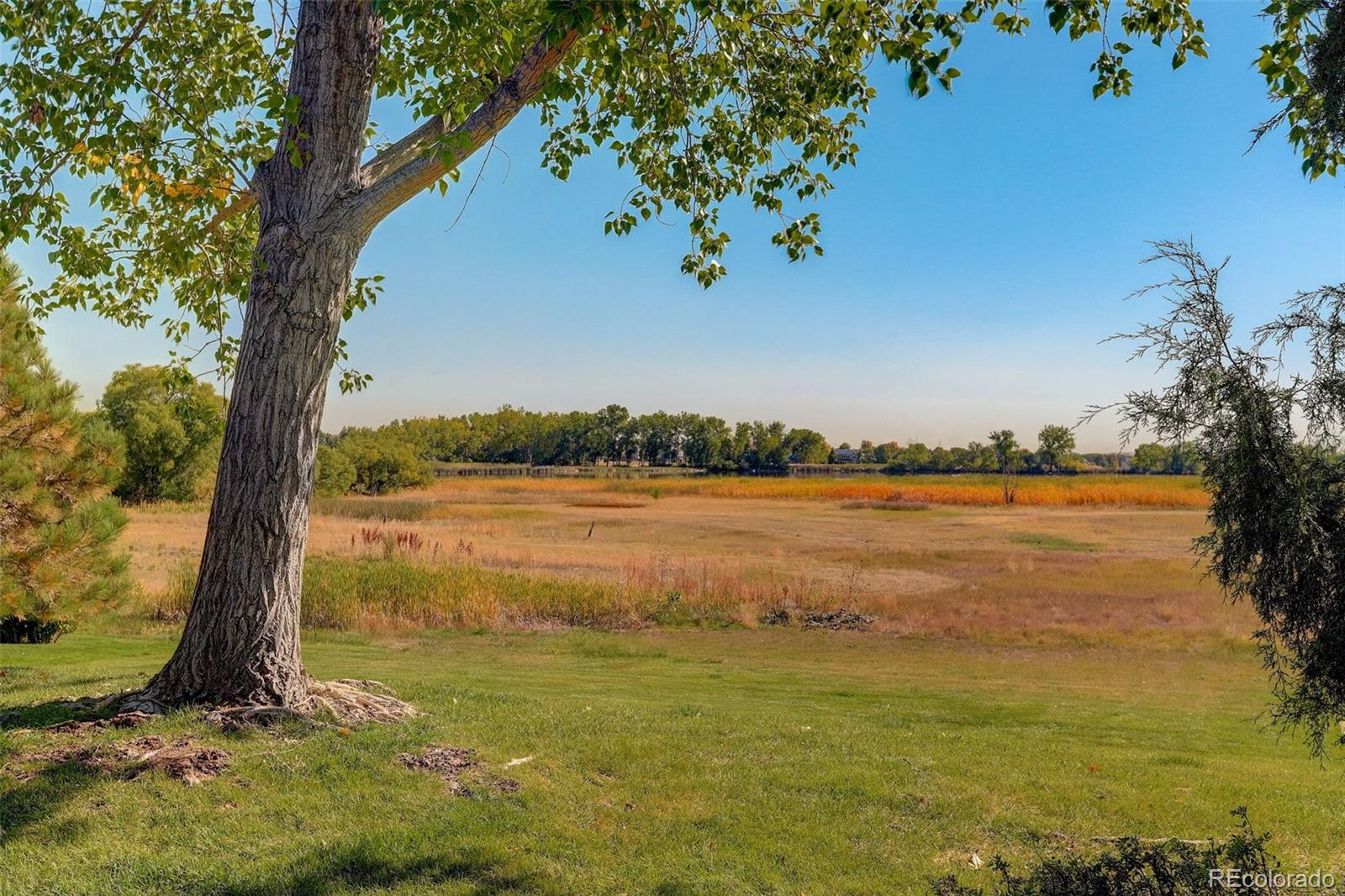 MLS Image #29 for 13946  legend trail,broomfield, Colorado