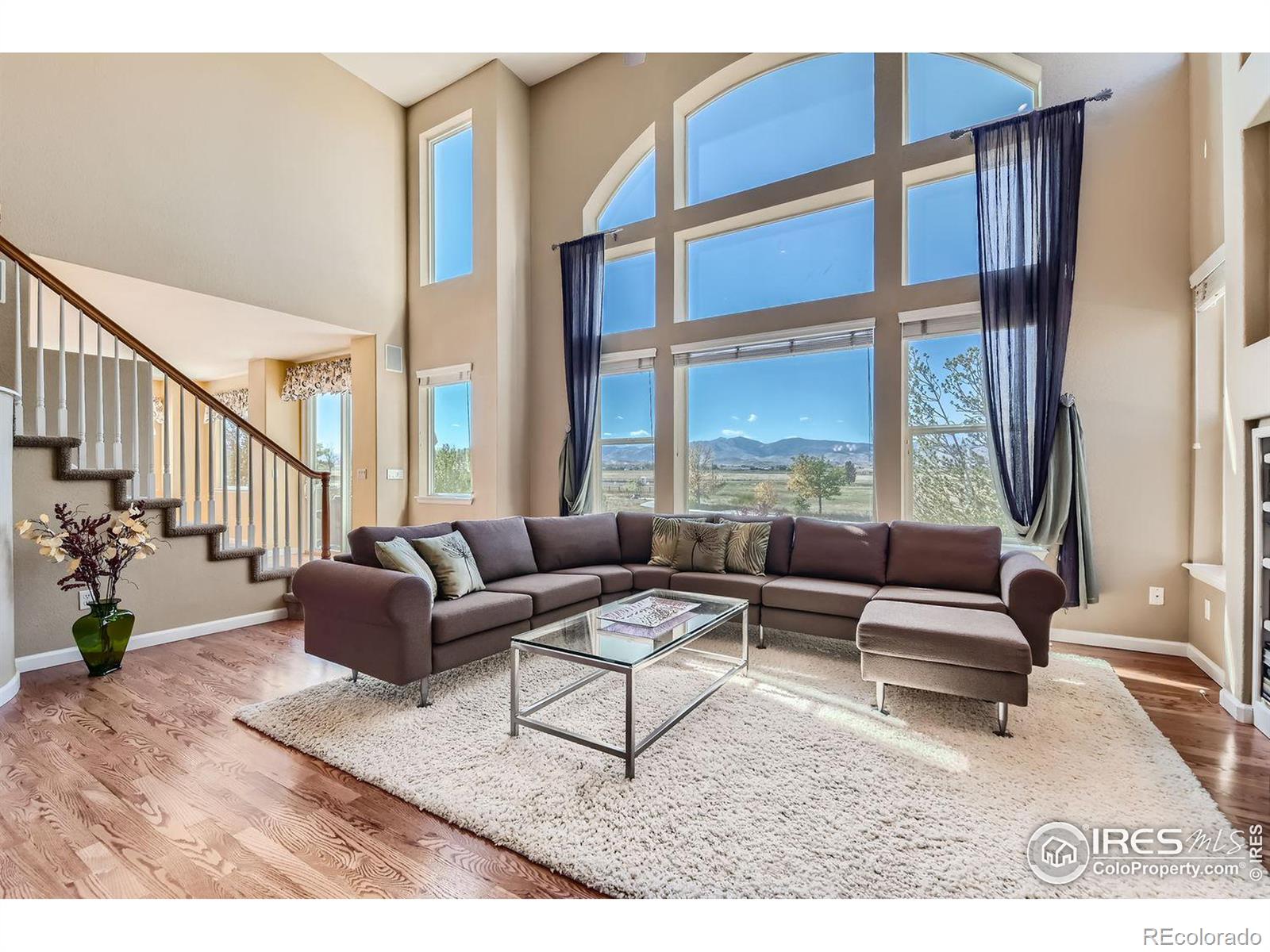 MLS Image #8 for 1503  stones peak drive,longmont, Colorado