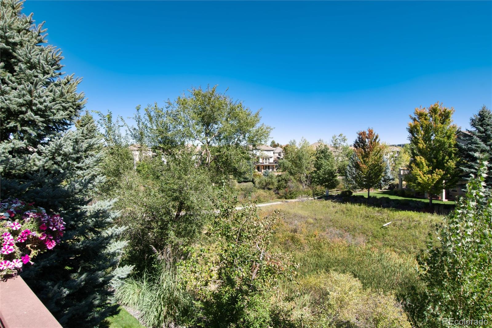 MLS Image #44 for 9644  brook hill lane,lone tree, Colorado