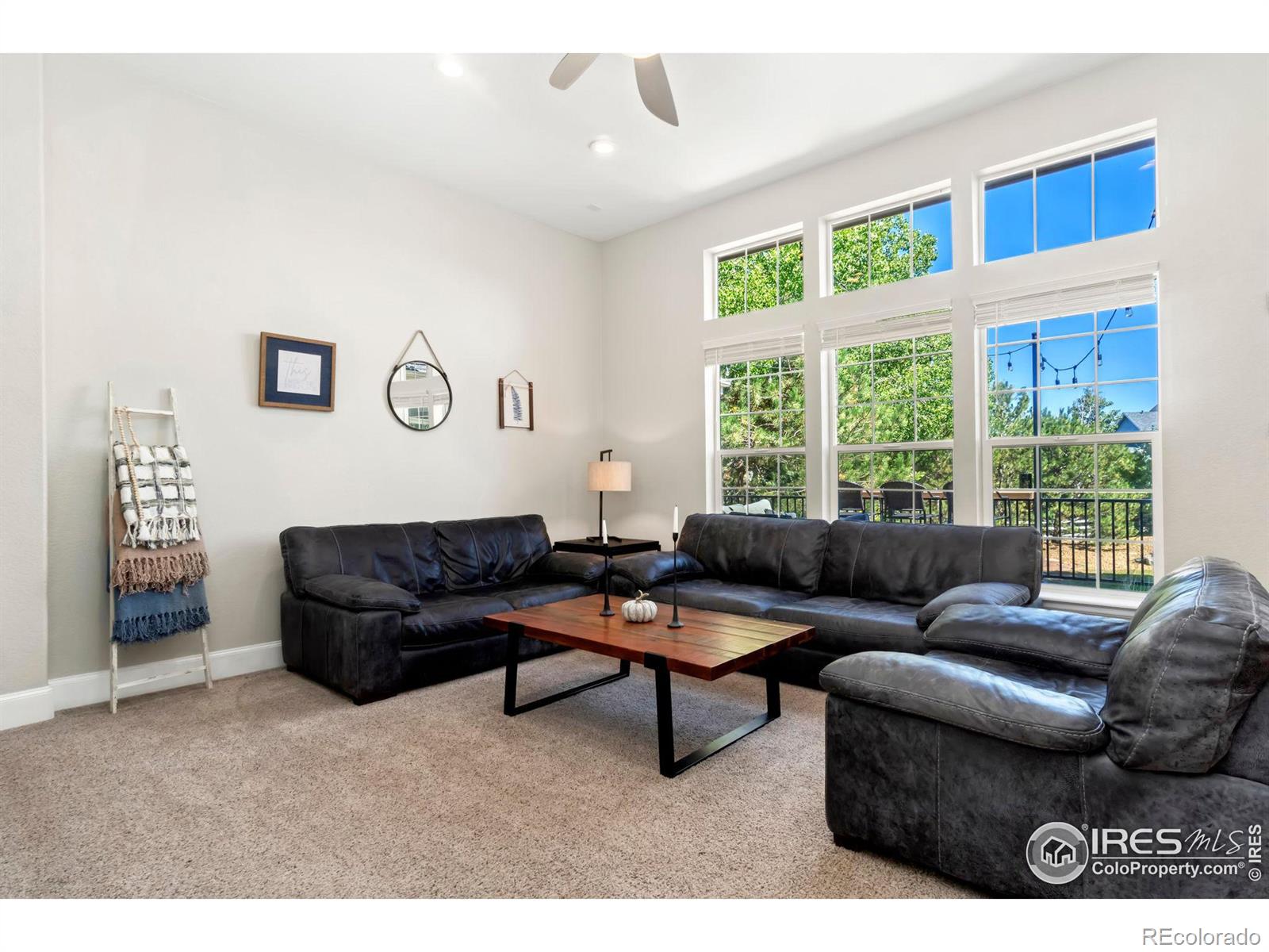 MLS Image #9 for 9390  cottonwood circle,longmont, Colorado