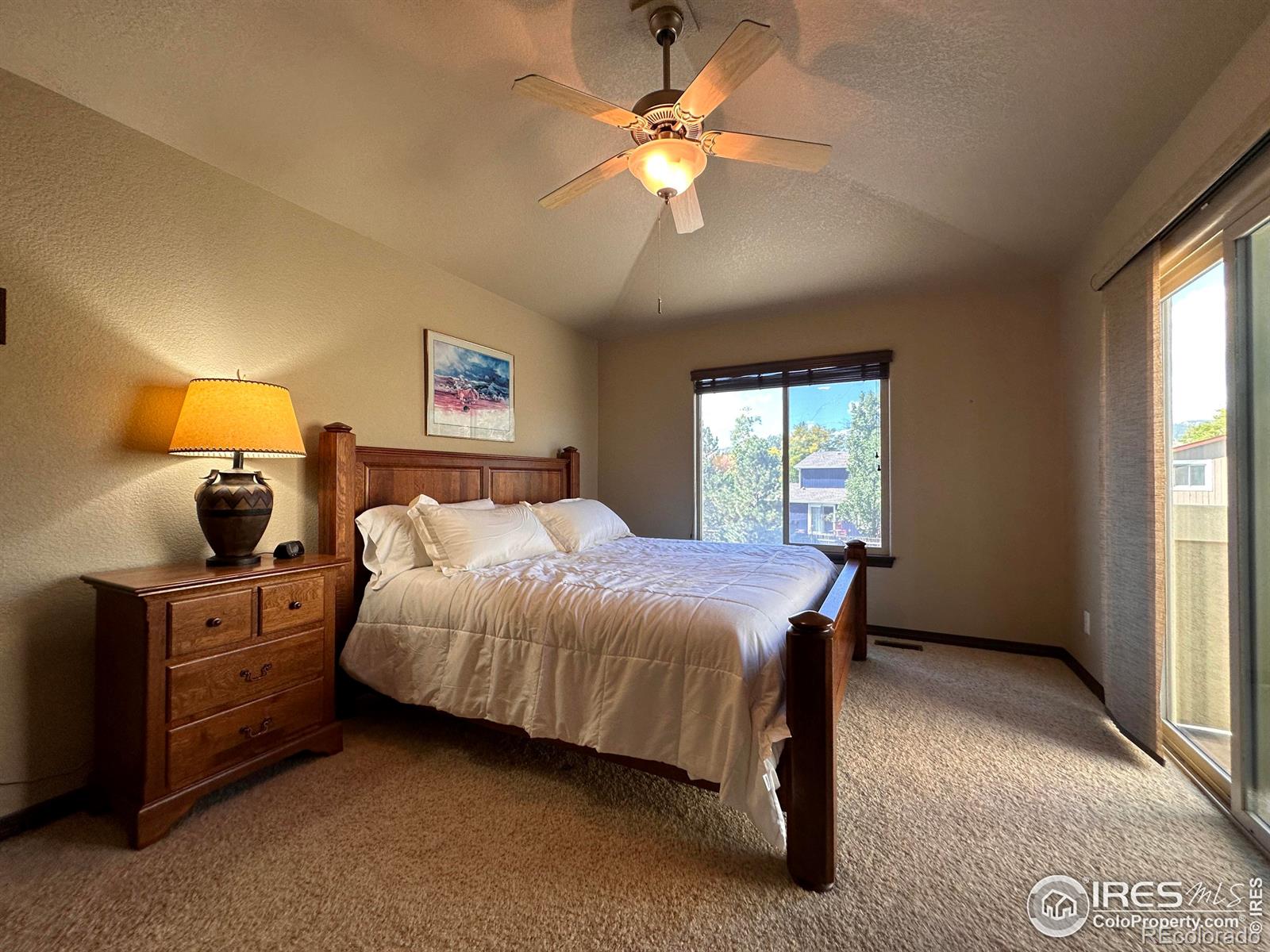 MLS Image #11 for 3527  big ben drive,fort collins, Colorado