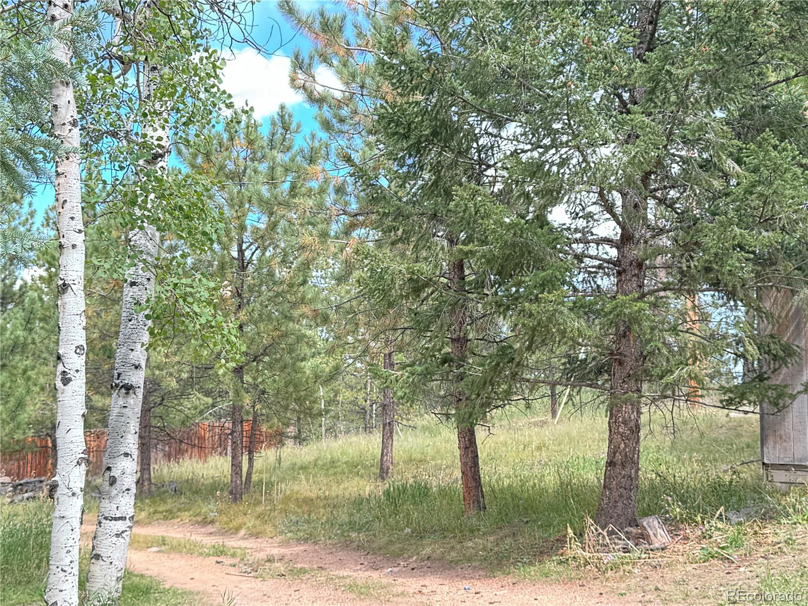 MLS Image #19 for 14054 s wandcrest drive,pine, Colorado