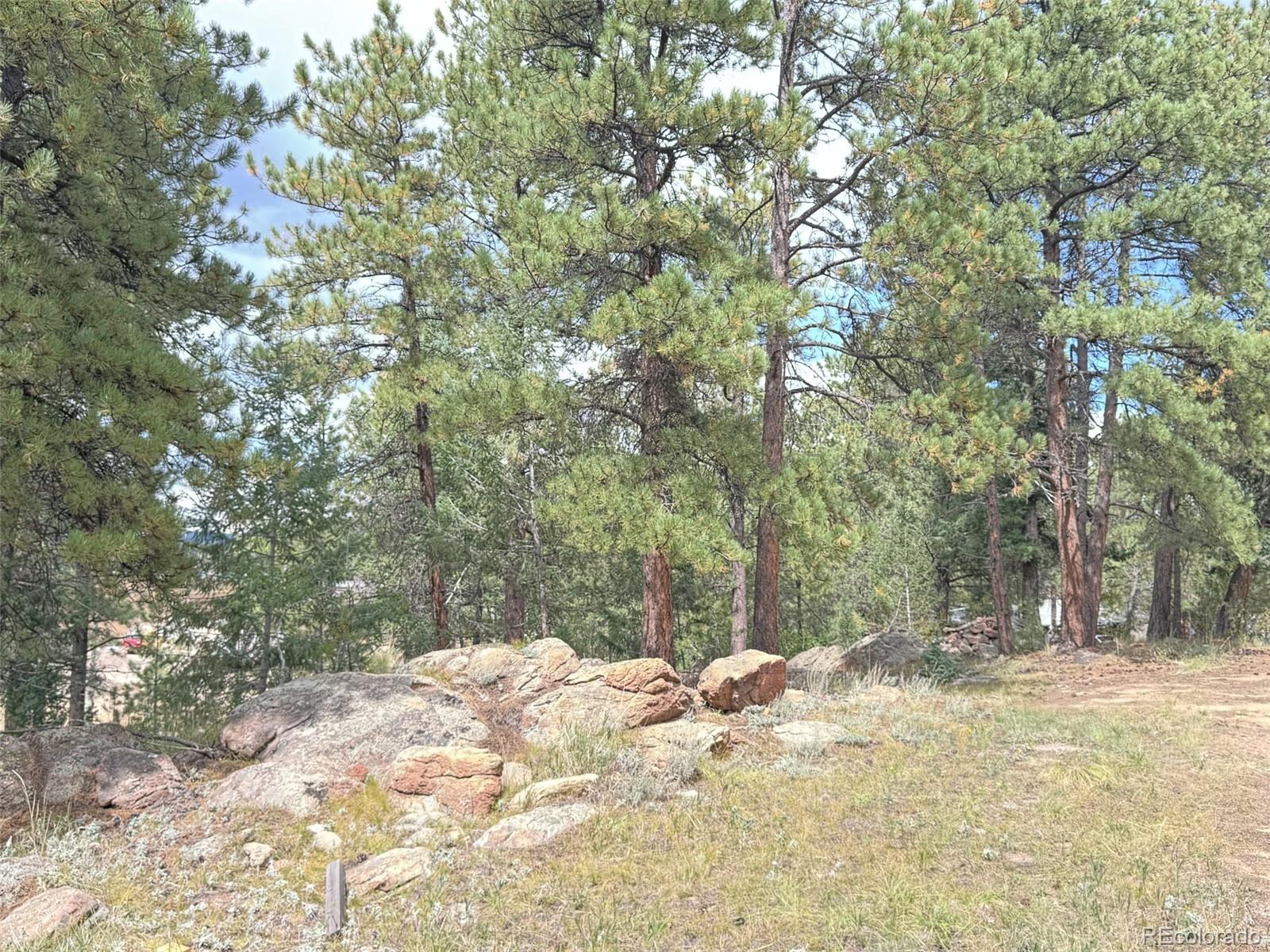 MLS Image #2 for 14054 s wandcrest drive,pine, Colorado