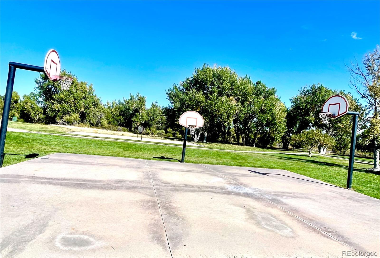 MLS Image #35 for 8433  wheatgrass circle,parker, Colorado