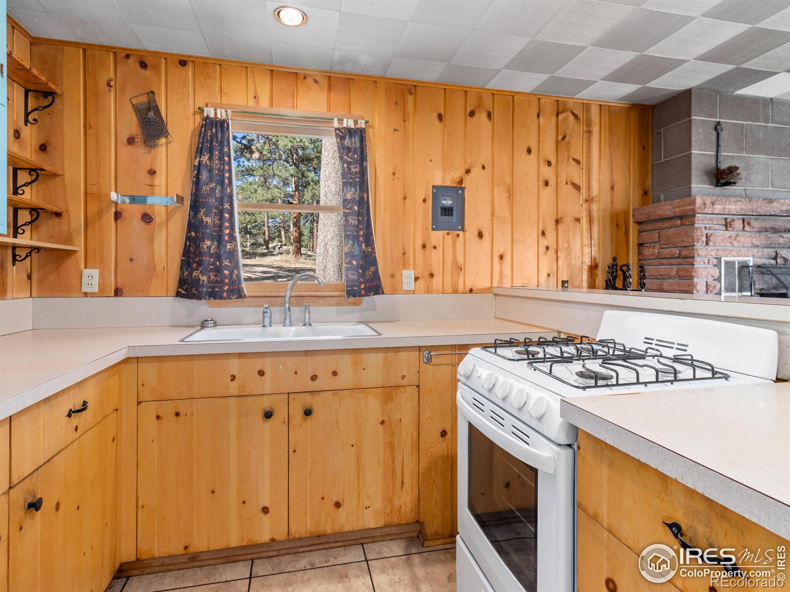 MLS Image #10 for 1125  upper broadview road,estes park, Colorado