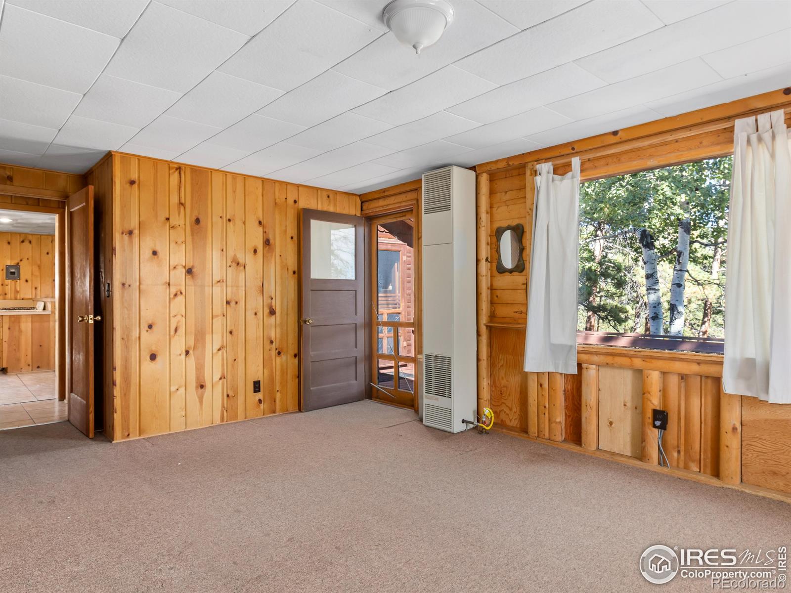 MLS Image #11 for 1125  upper broadview road,estes park, Colorado