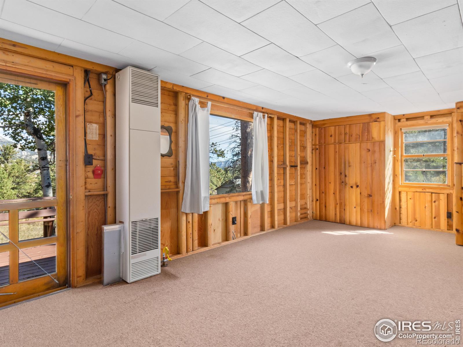 MLS Image #12 for 1125  upper broadview road,estes park, Colorado