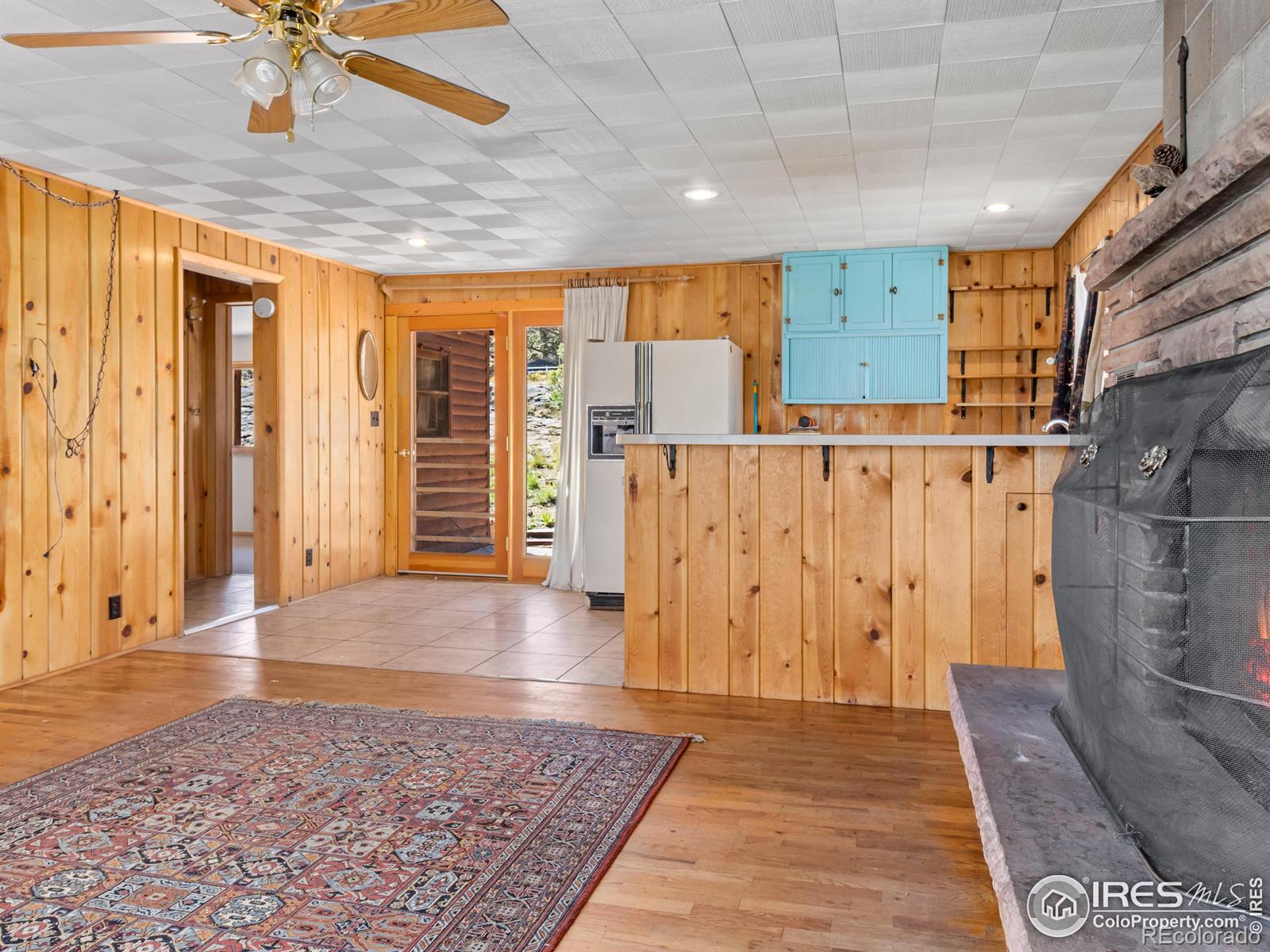 MLS Image #6 for 1125  upper broadview road,estes park, Colorado