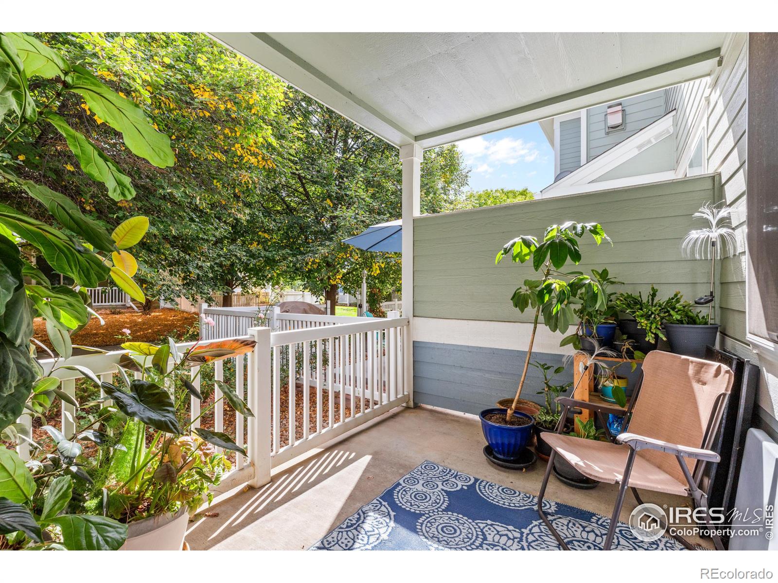 MLS Image #12 for 640  gooseberry drive,longmont, Colorado
