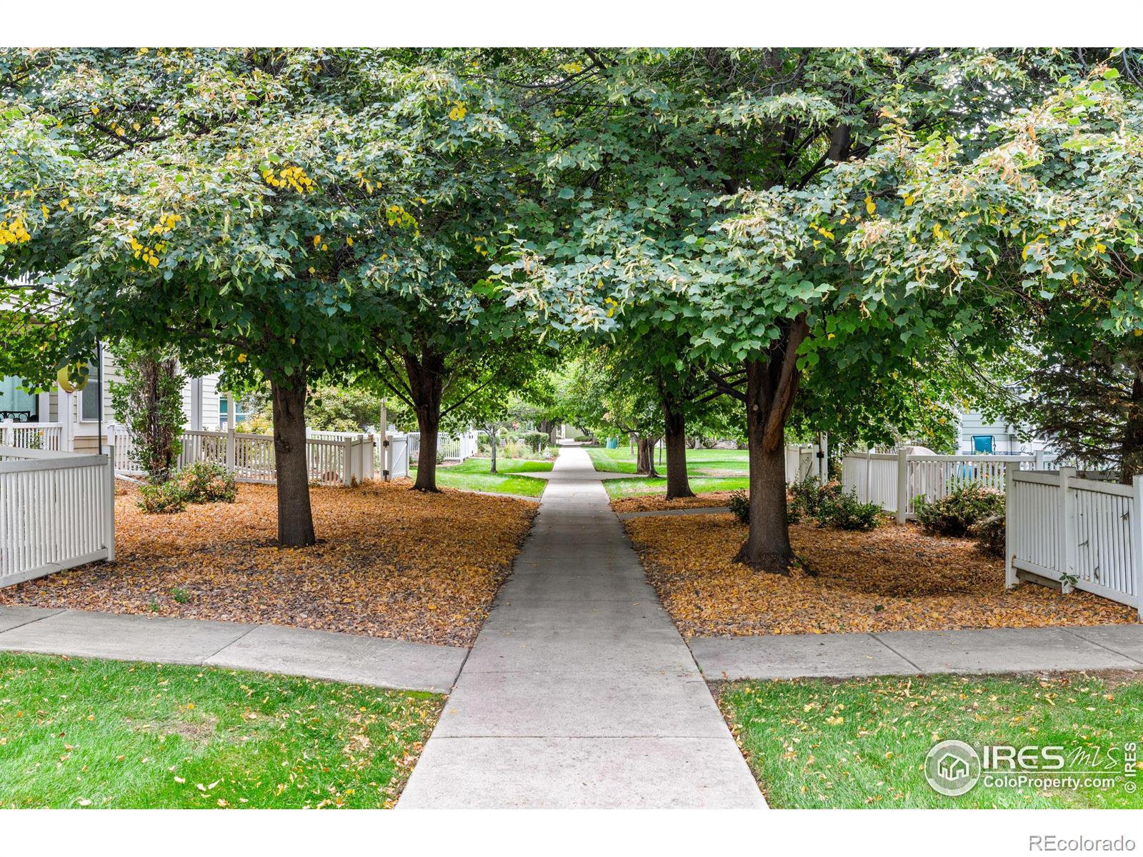 MLS Image #22 for 640  gooseberry drive,longmont, Colorado