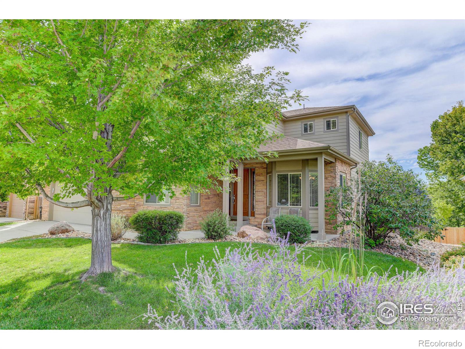 MLS Image #0 for 729  rider ridge drive,longmont, Colorado