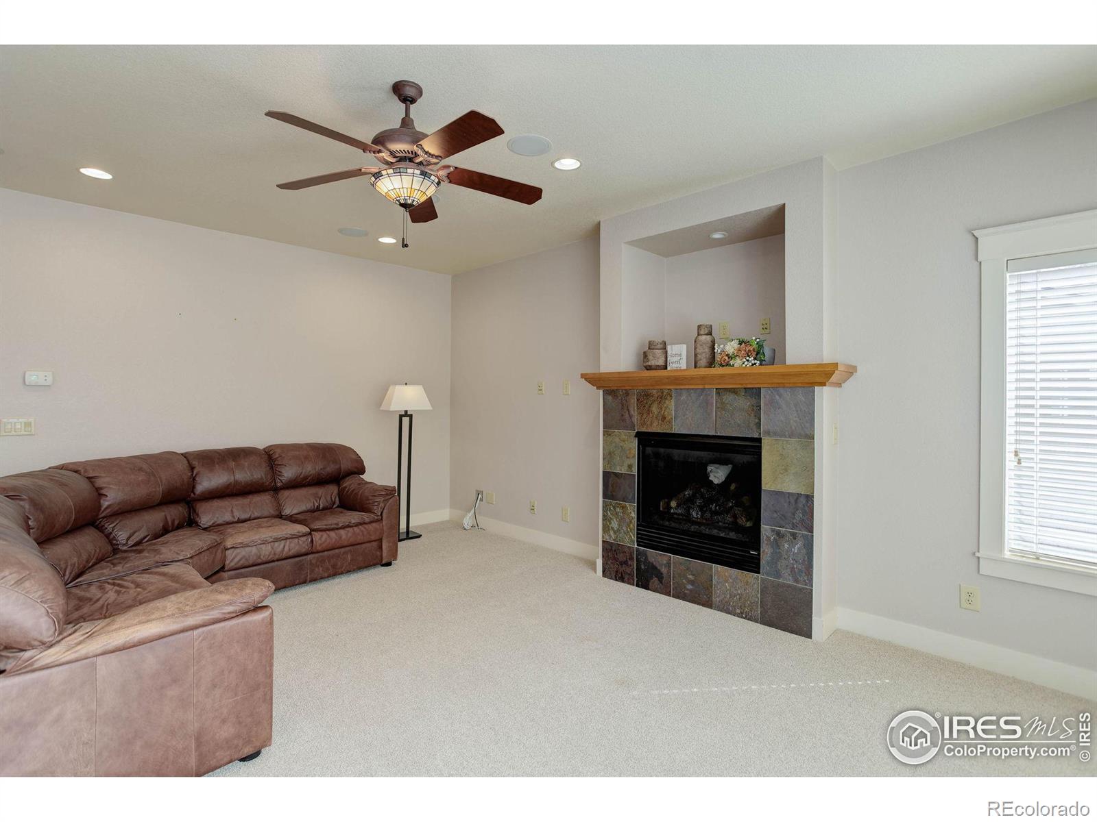 MLS Image #14 for 729  rider ridge drive,longmont, Colorado