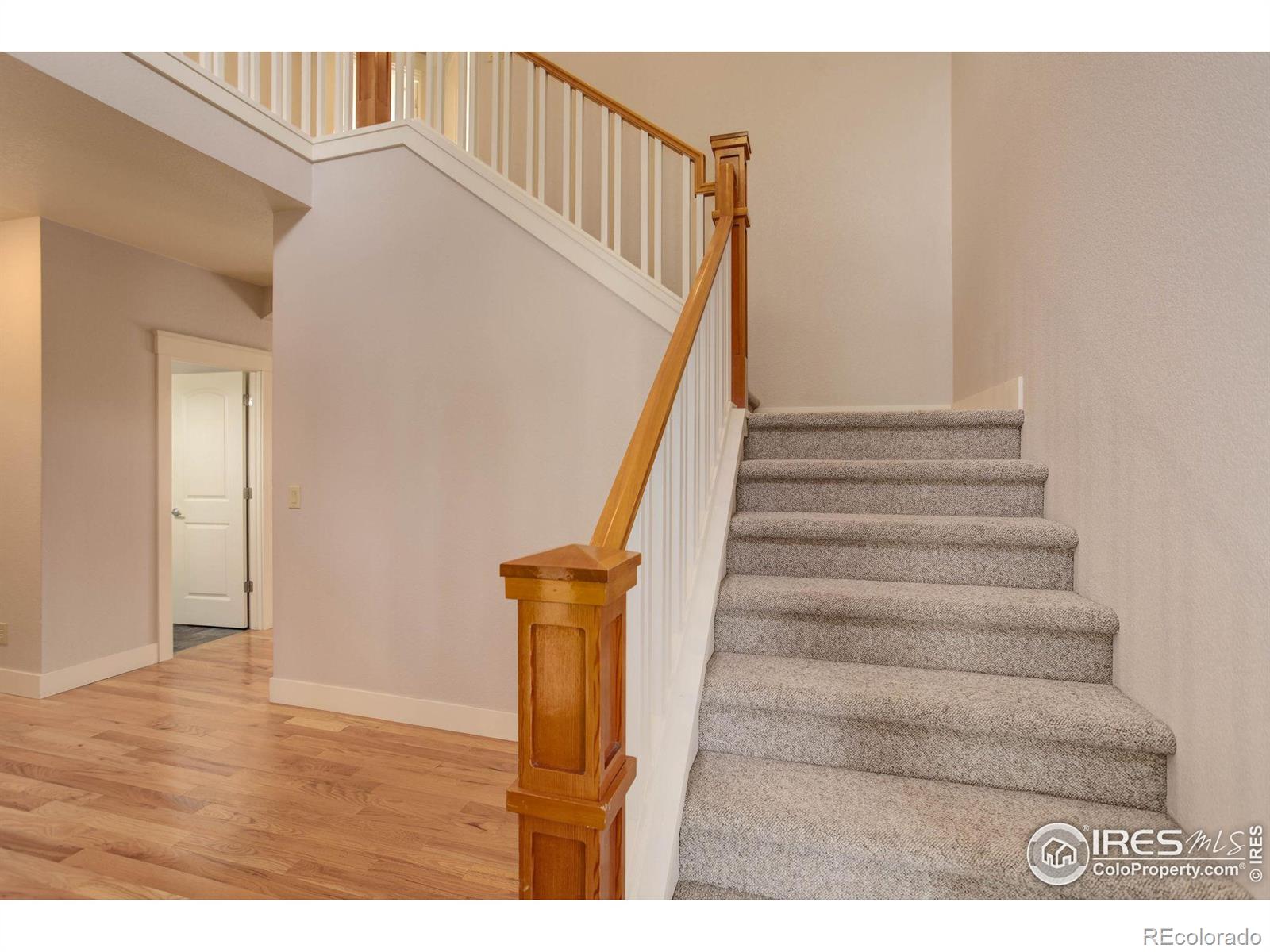 MLS Image #20 for 729  rider ridge drive,longmont, Colorado