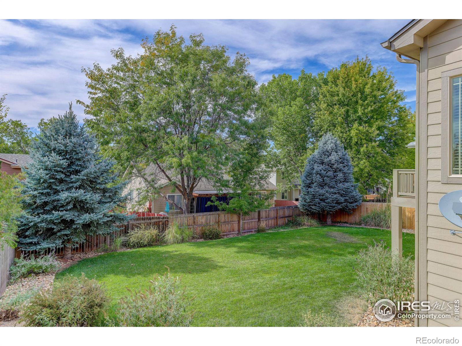 MLS Image #38 for 729  rider ridge drive,longmont, Colorado