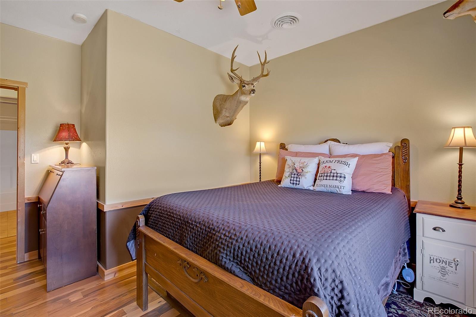 MLS Image #20 for 88  empire road,florissant, Colorado