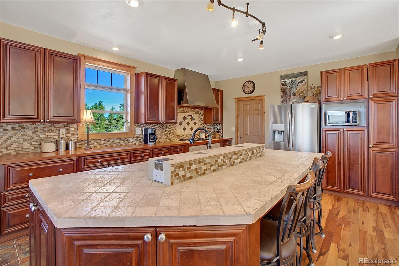 MLS Image #9 for 88  empire road,florissant, Colorado