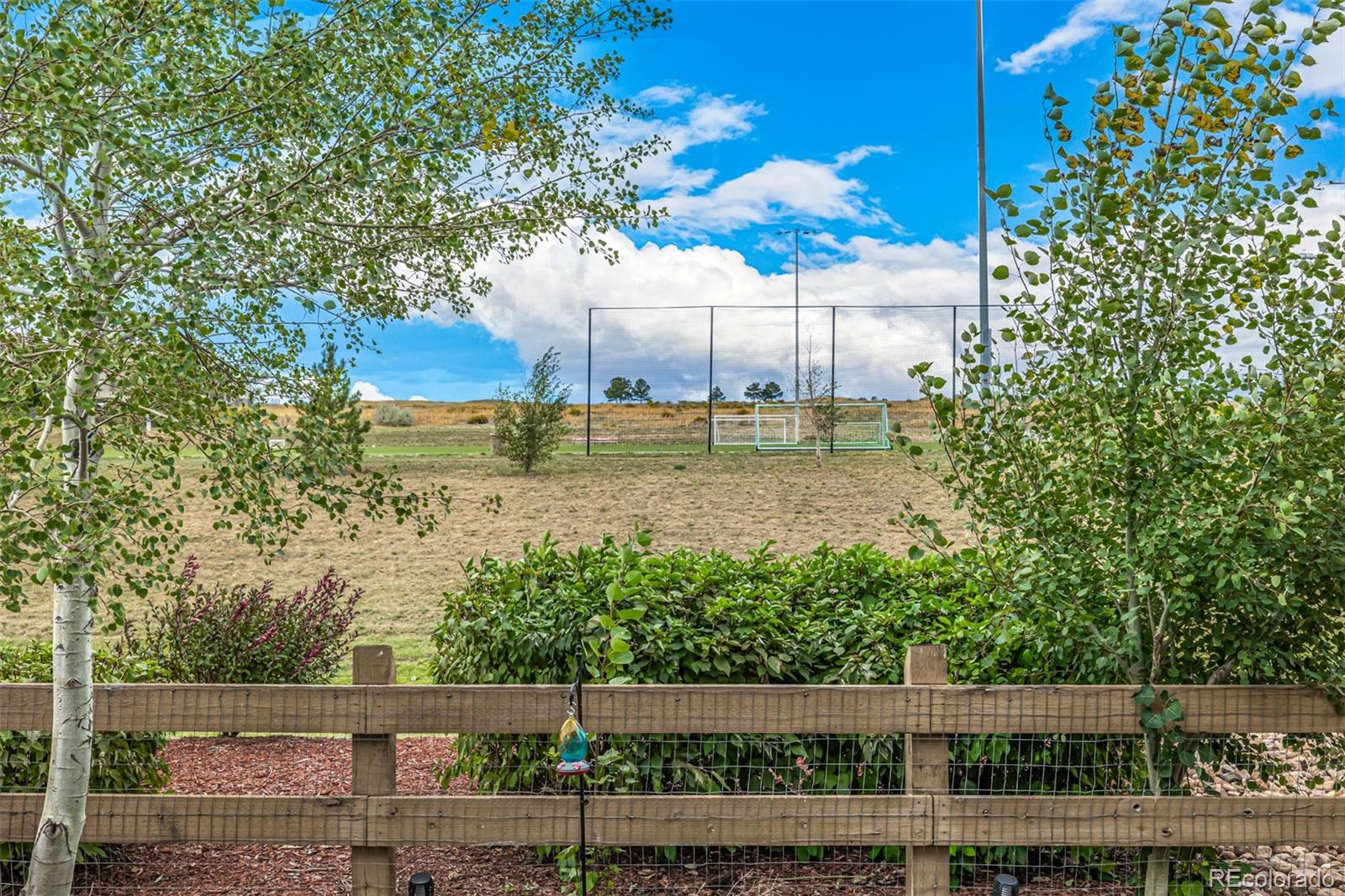 MLS Image #31 for 12512  fisher drive,englewood, Colorado