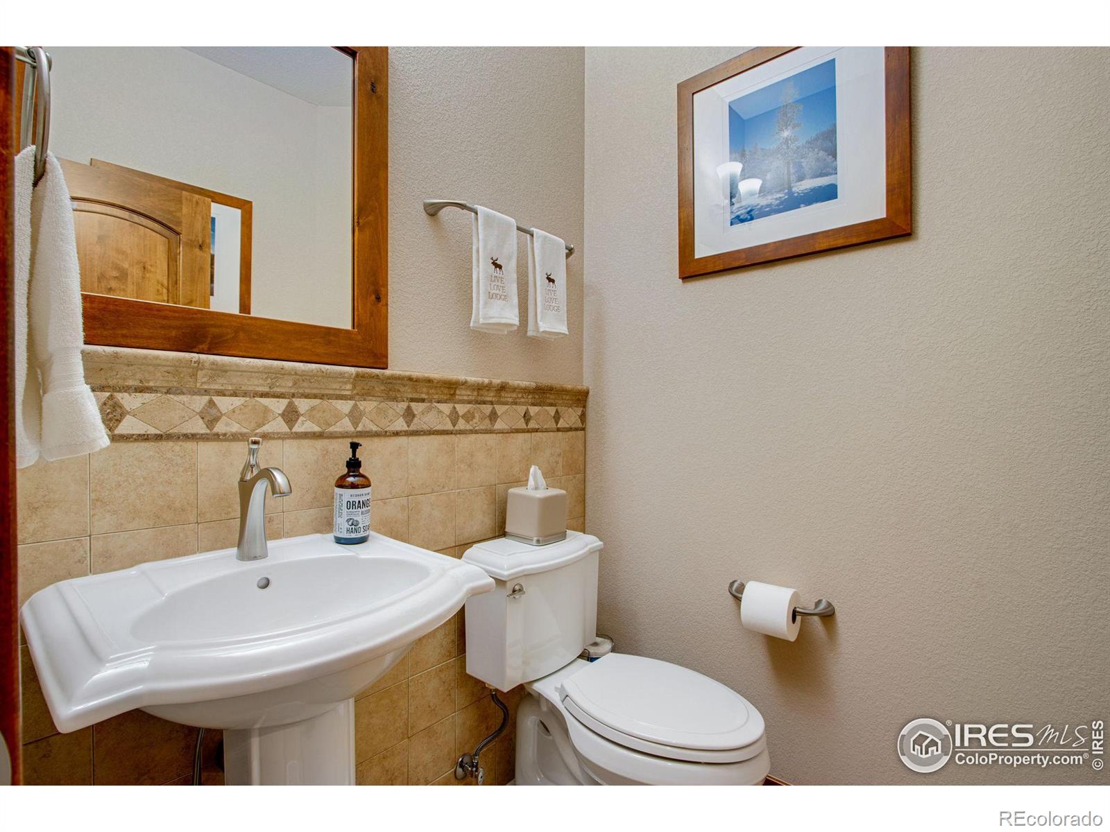 MLS Image #28 for 927  prism cactus circle,loveland, Colorado